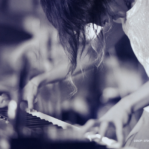 平台投放小蛙导航
