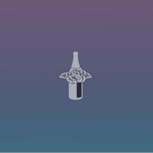 平台投放小蛙导航
