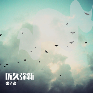 平台投放小蛙导航
