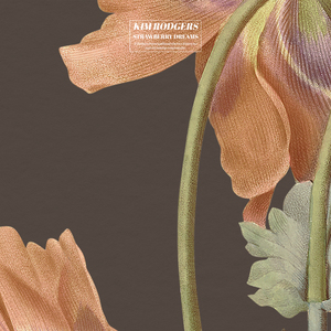 平台投放小蛙导航
